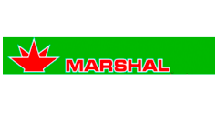 Дизельне паливо (Євро 5), АЗС MARSHAL, талон